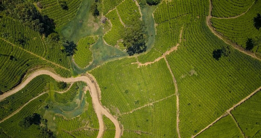 DJI_0018.00_01_09_13.Still002